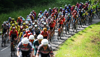 The 2025 men's peloton in a recent race
