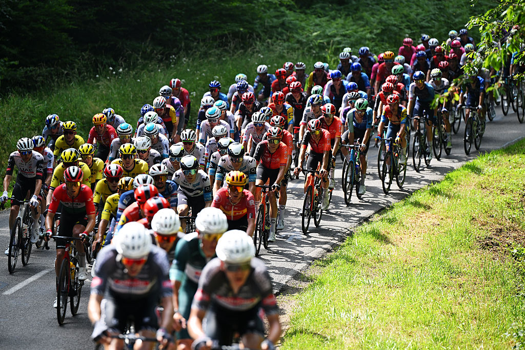 The 2025 men's peloton in a recent race