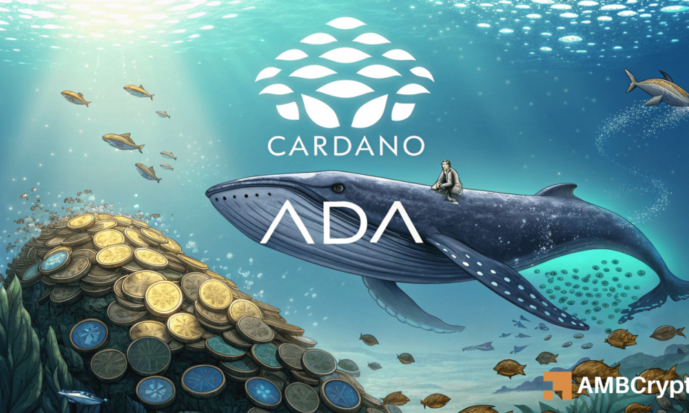 Cardano whales go all-in with 120 mln ADA scooped up: Will this spark a rally?