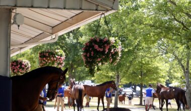 Fasig-Tipton July Selected Horses of Racing Age Catalogue Available Online