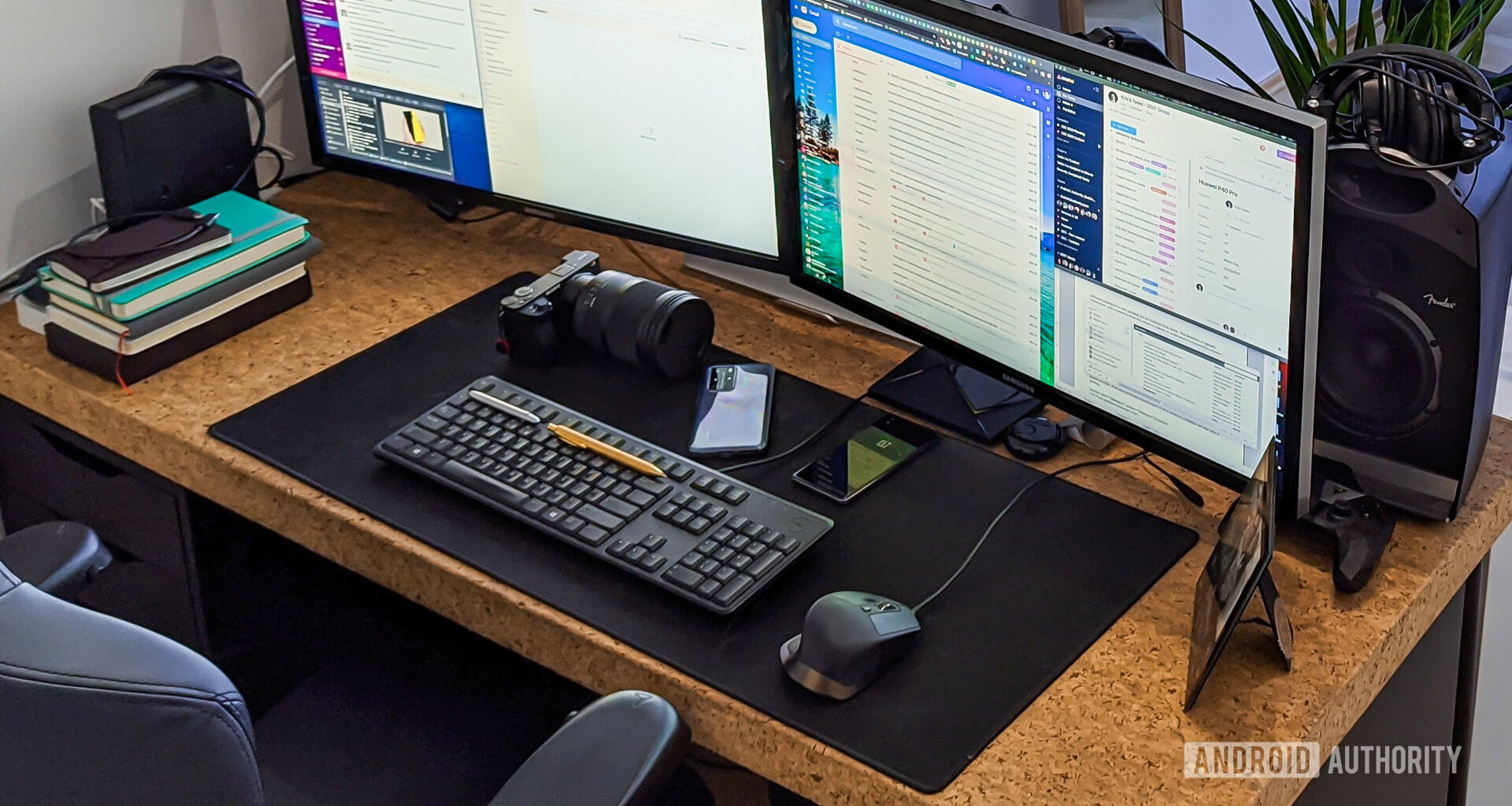 FlexiSpot E5 standing desk review full setup