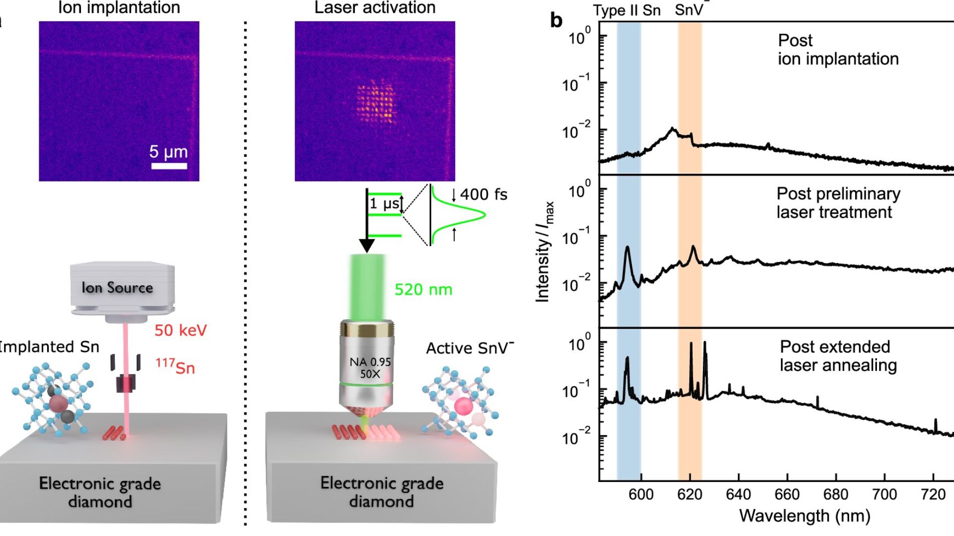 Laser activation of tin-related defect centers.