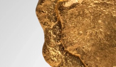 Gold Market Commentary: Let them eat tariffs