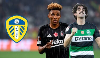 Former Premier League players Farke should target this summer