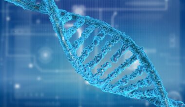 Genetic research unlocks new ways to prevent and treat multiple long-term conditions 