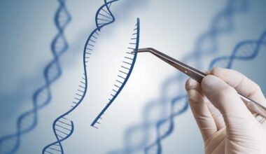 Genetic mutations: examples and definition - What are genetic mutations