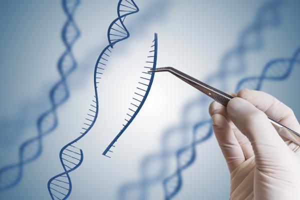 Genetic mutations: examples and definition - What are genetic mutations