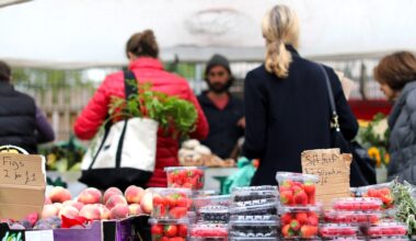 The cult of the farmer’s market