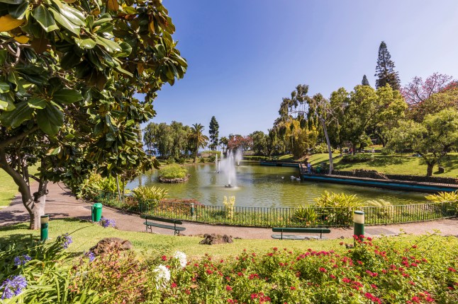 Portugal, Madeira Island, Funchal, Pond with fountains at Santa Catarina Park, Parque de Santa Catarina