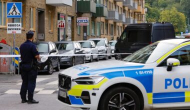 Sweden eyes EU fireworks ban to blow up the mob – POLITICO