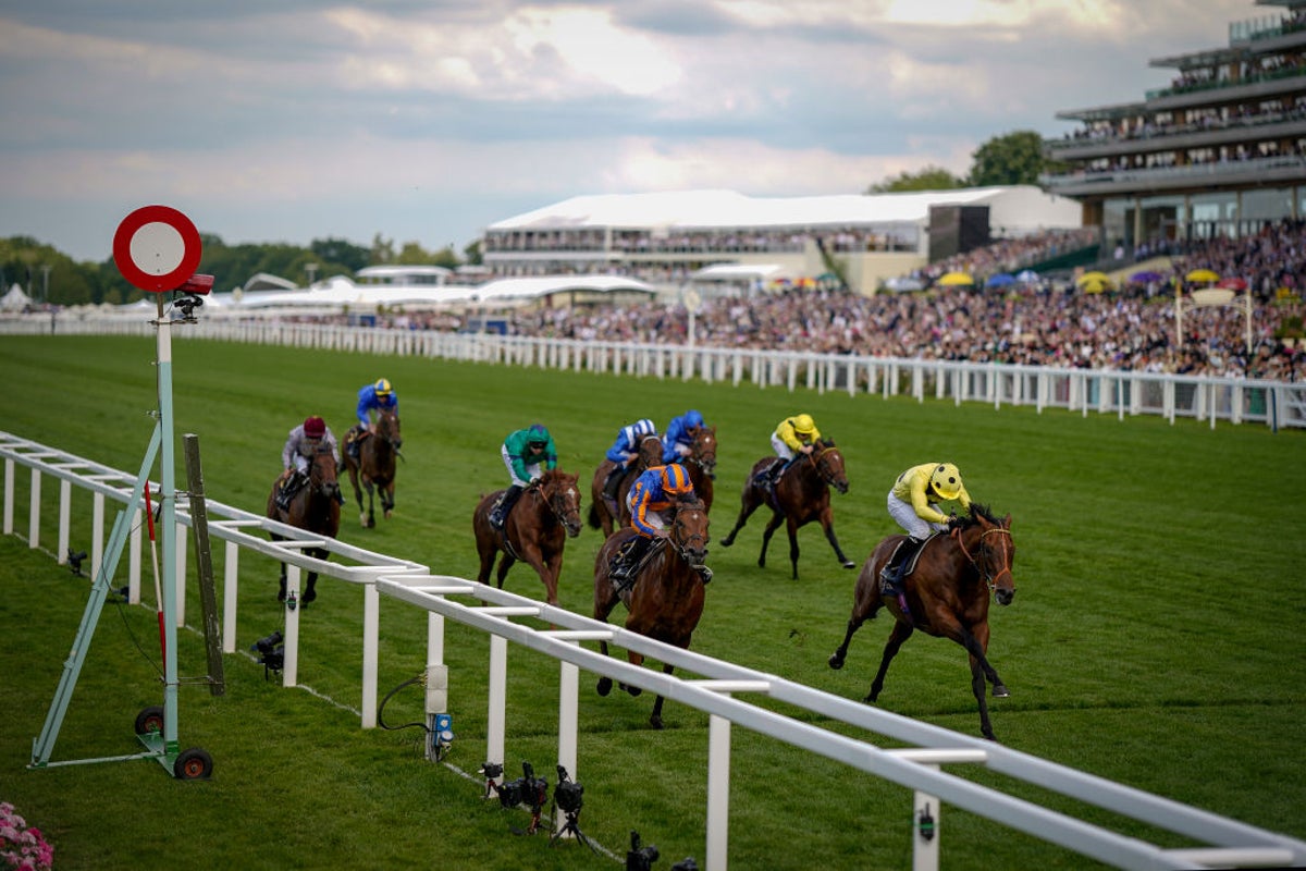 Royal Ascot Day 1 tips, best bets and horse racing odds