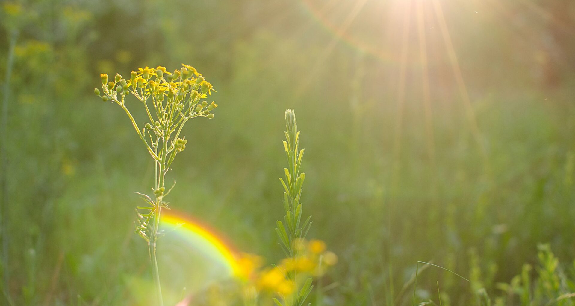 How to Control Your Fear of Death or Thanatophobia