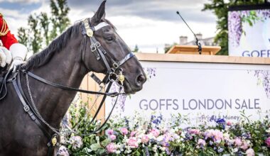 Trio of Group 3 Winners Added to Goffs London Sale