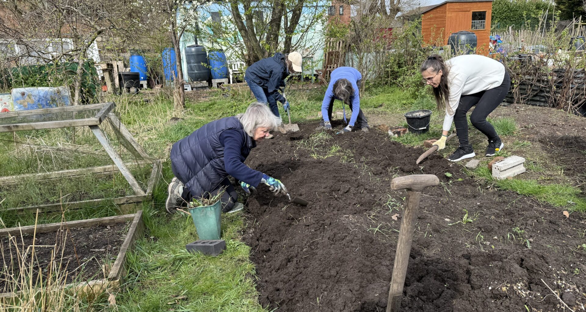 Watch: The Albermarle Community Plot: Growing food for Manchester's food banks