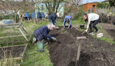 Watch: The Albermarle Community Plot: Growing food for Manchester's food banks
