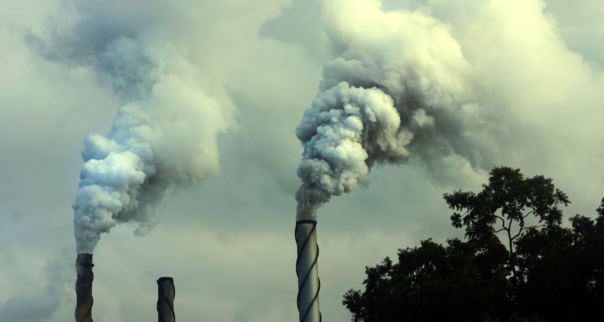 Review: Impact of Air Pollution and Occupational Inhalation Exposures on Neurodegenerative Disorders: an Epigenetic Perspective. Image Credit: IngeBlessas / Shutterstock