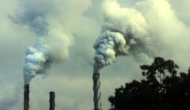 Review: Impact of Air Pollution and Occupational Inhalation Exposures on Neurodegenerative Disorders: an Epigenetic Perspective. Image Credit: IngeBlessas / Shutterstock
