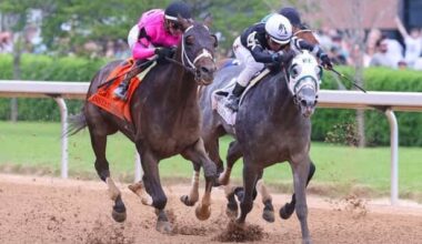 Instant Replay, Immersive lead Indana Derby, Oaks nominations