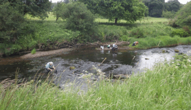Karelian identifies copper target in Northern Ireland