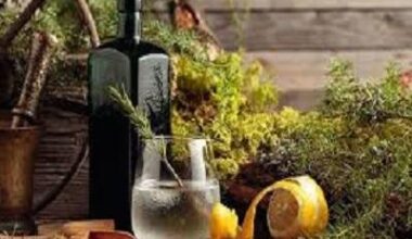 London Dry Gin Market