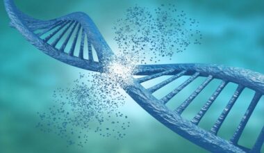 Gene Panel Market