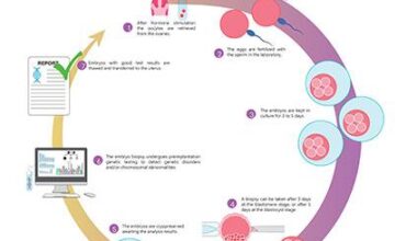 Preimplantation Genetic Testing Market