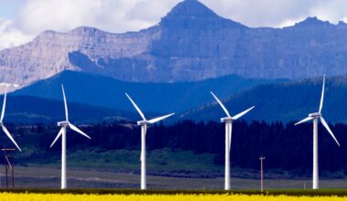 Land-Use Competition between Biodiversity and Net Zero Goals – Analysis