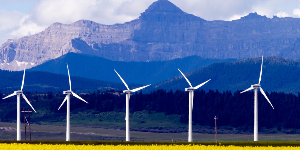 Land-Use Competition between Biodiversity and Net Zero Goals – Analysis