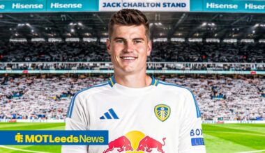 Jaka Bijol caught in shock Leeds United transfer twist nobody saw coming