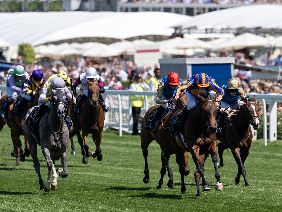 Florida-bred Lennilu Third in Group 2 Queen Mary at Royal Ascot