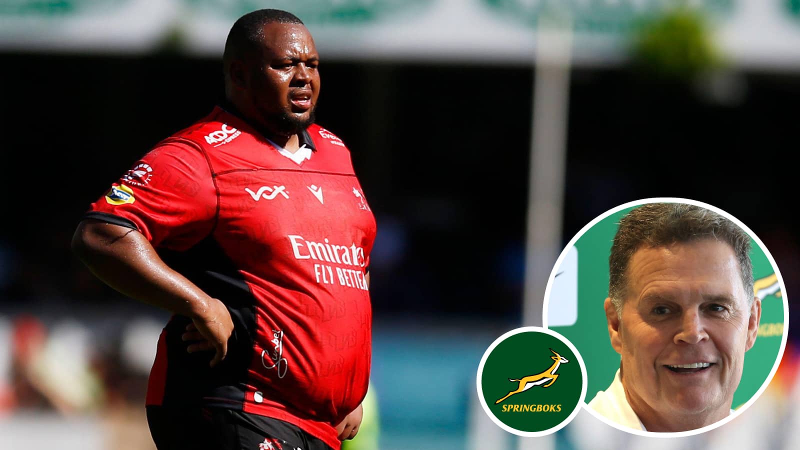 Springboks: Rassie reveals Daan Human's role in newbie shedding 18kgs : Planet Rugby