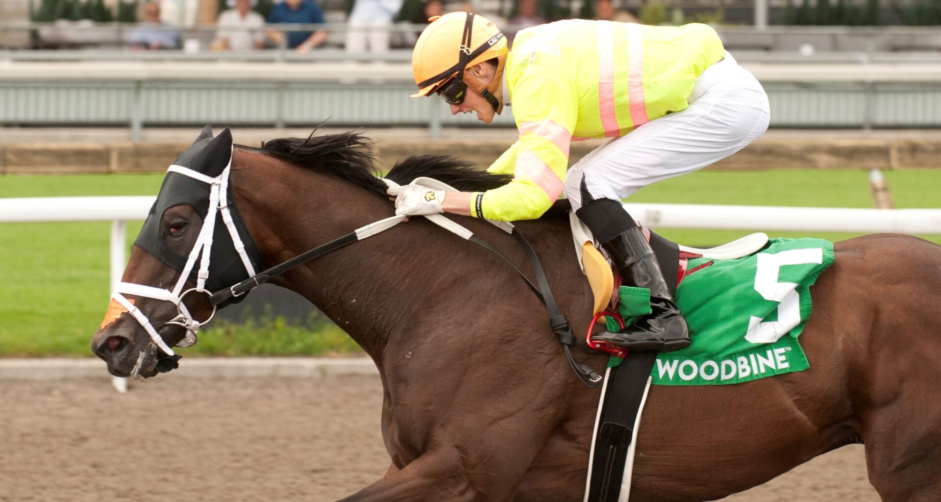 Inside Track (June 28-29) - Woodbine Racetrack