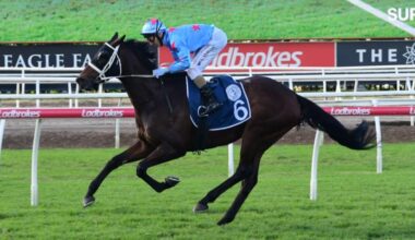 Long and winding road - ANZ Bloodstock News