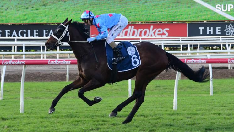 Long and winding road - ANZ Bloodstock News