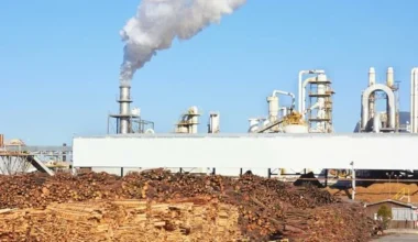 UK's Mechanical Wood Pulp Market to See Slight Growth with Volume Reaching 206K Tons and Value Hitting $113M by 2035 - News and Statistics