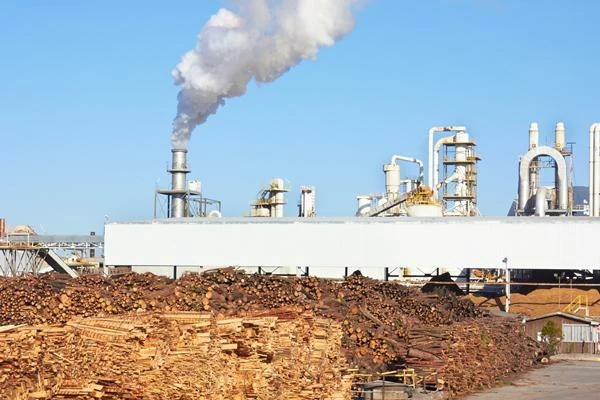 UK's Mechanical Wood Pulp Market to See Slight Growth with Volume Reaching 206K Tons and Value Hitting $113M by 2035 - News and Statistics