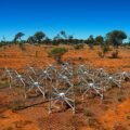 Murchison Astronomy
