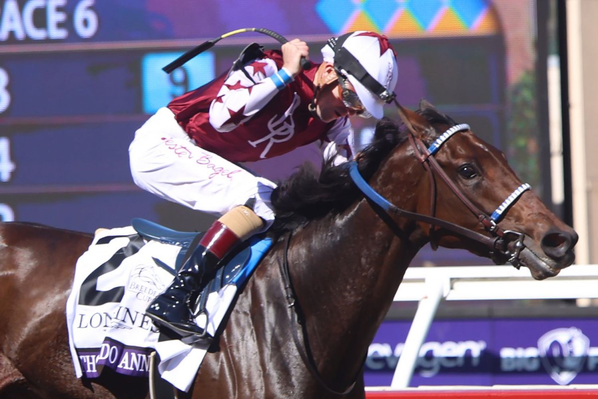 Mystik Dan, Thorpedo Anna return to scene of Derby, Oaks triumphs