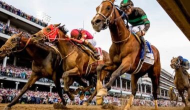 Stephen Foster features 4 Grade 1 winners including Mystik Dan