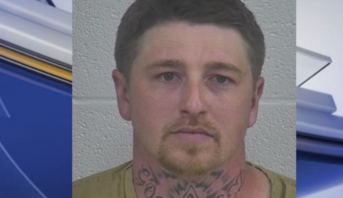 London man arrested on reckless driving charges