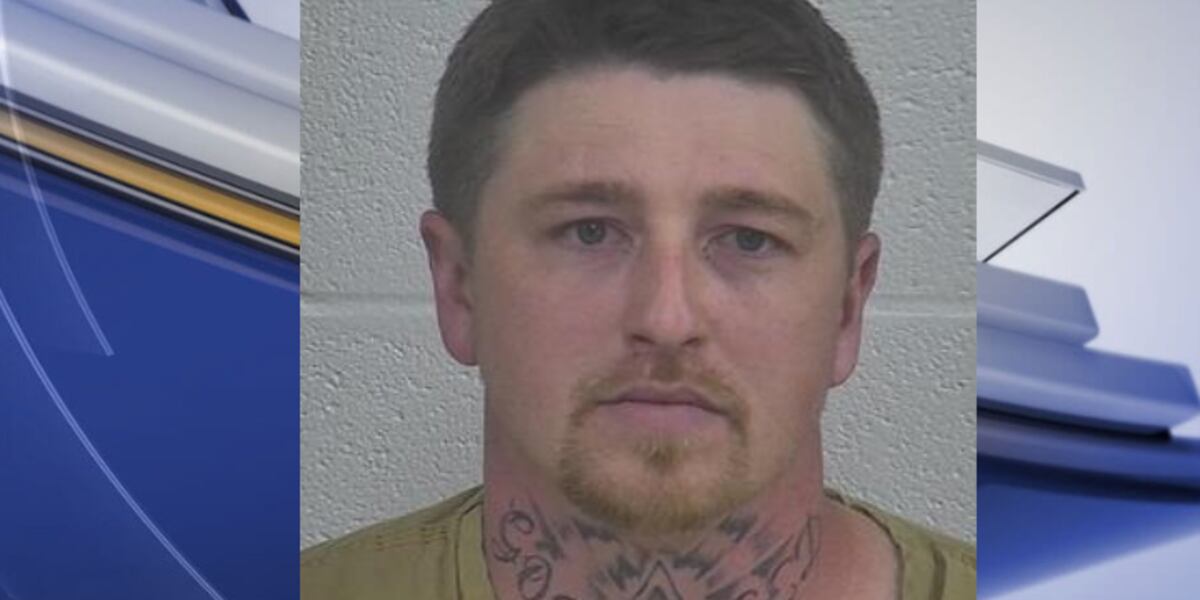 London man arrested on reckless driving charges