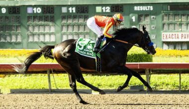 Bob Baffert’s Nevada Beach wins Los Alamitos Derby, signals bright future – Daily Breeze