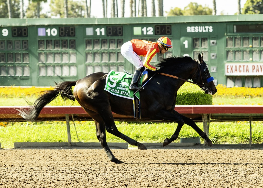 Bob Baffert’s Nevada Beach wins Los Alamitos Derby, signals bright future – Daily Breeze