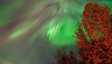 How to Watch the Last-Minute Northern Lights for a Second Time this Week