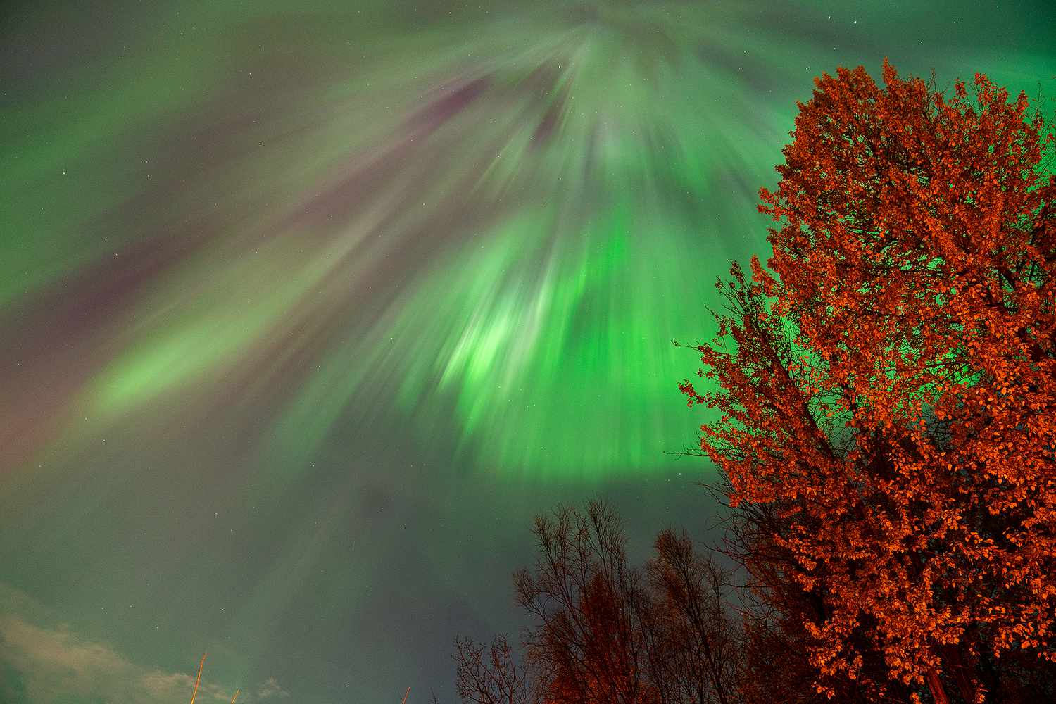 How to Watch the Last-Minute Northern Lights for a Second Time this Week