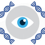 In an illustration, four DNA strands surround an eye.