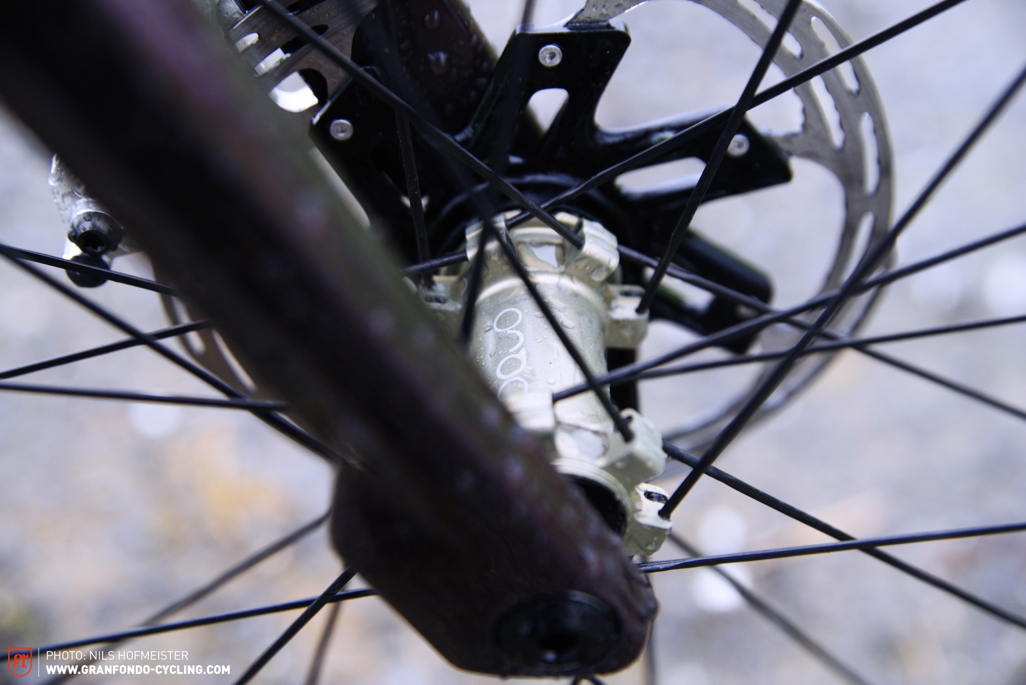 Orbea Terra Race 2026 23
