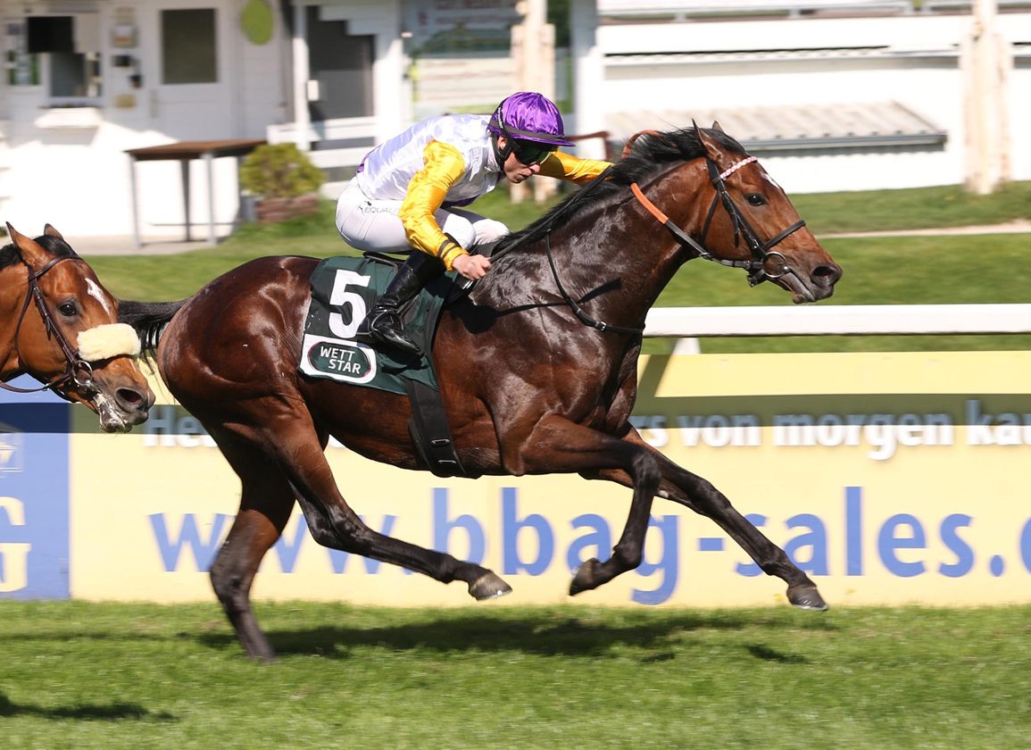 Path Of Soldier Anchors Latest Goffs London Recruits