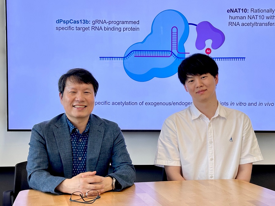 KAIST Achieves Targeted RNA Editing with Genetic Scissors