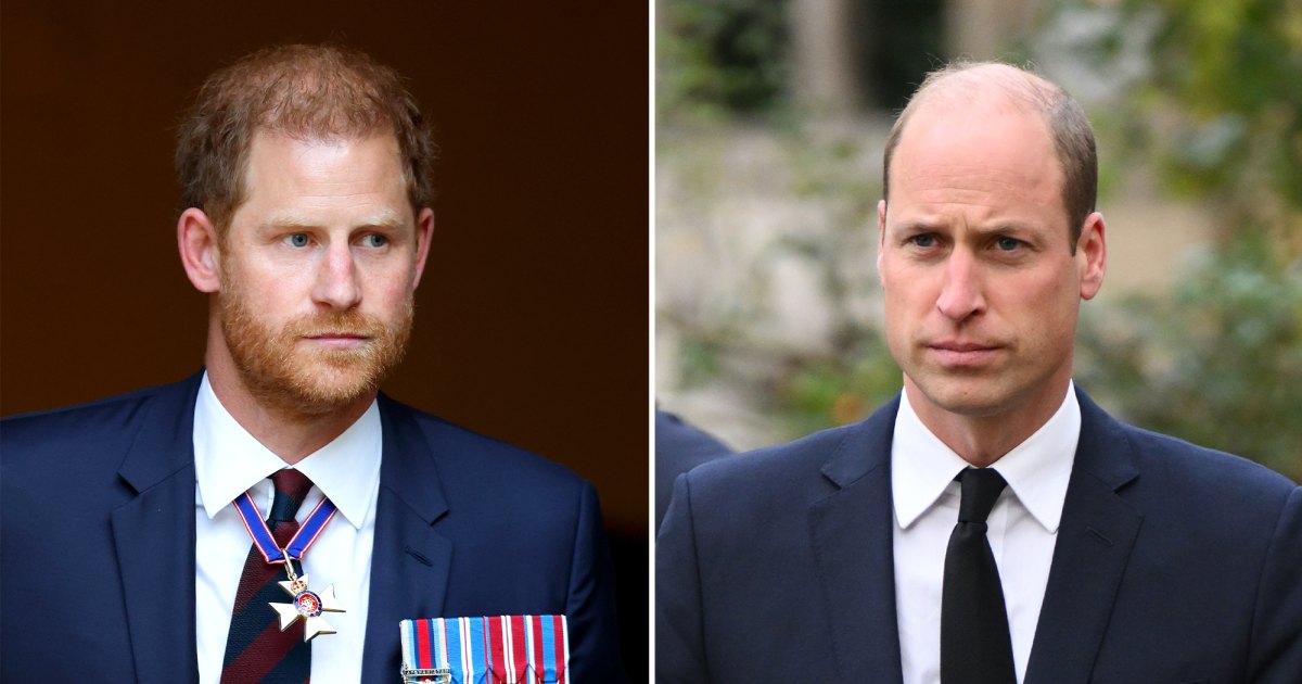 King Charles' Funeral Likely to Reunite Princes Harry and William